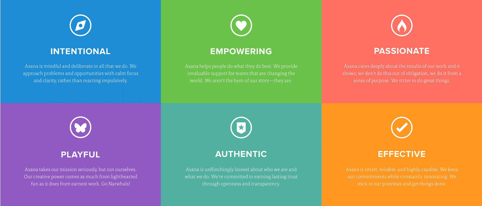Asana Story